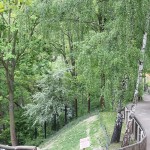 Nasze zwierzęta / Aktualności hodowlane