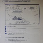 Nasze zwierzęta / Zoologiczny kalendarz