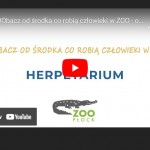 ZOObacz od środka co robią człowieki w ZOO