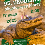 95. URODZINY ALIGATORZYCY MARTY!