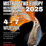 Aktualności