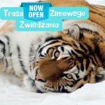 Zapraszamy na Trasę Zimowego Zwiedzania!