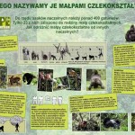 Ochrona przyrody / Kampanie